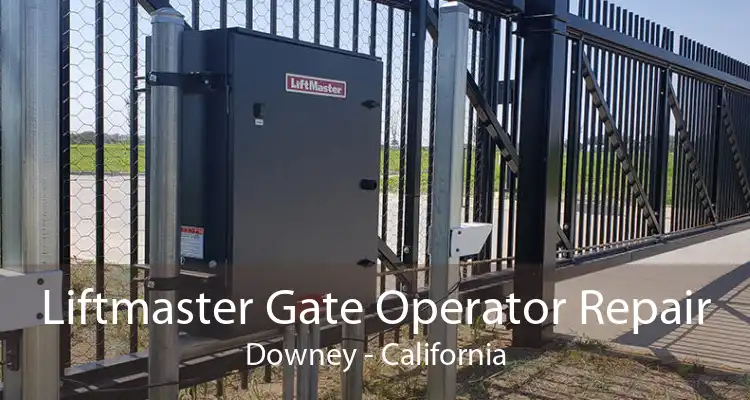 Liftmaster Gate Operator Repair Downey - California